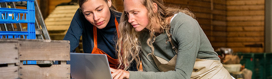 Online Banking Firmenkunden Volksbank Konstanz